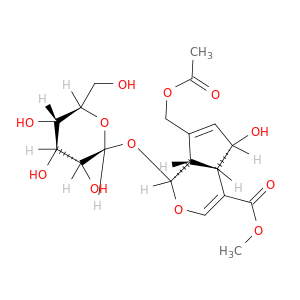 车叶草苷酸甲酯