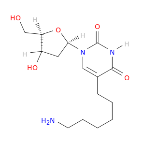 Uridine, 5-(6-aminohexyl)-2'-deoxy-