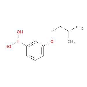 B-[3-(3-甲基丁氧基)苯基]硼酸