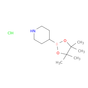 哌啶-4-硼酸频那醇酯盐酸盐